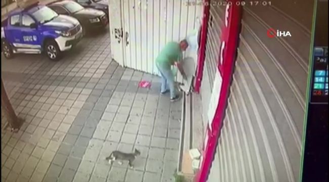 Kedi bile şaştı! 'Yok artık' dedirten hırsızlık