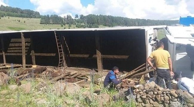 Küçükbaş hayvanları taşıyan tır devrildi