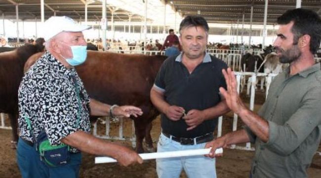 Kurban alışverişinde 'sopalı pazarlık' dönemi