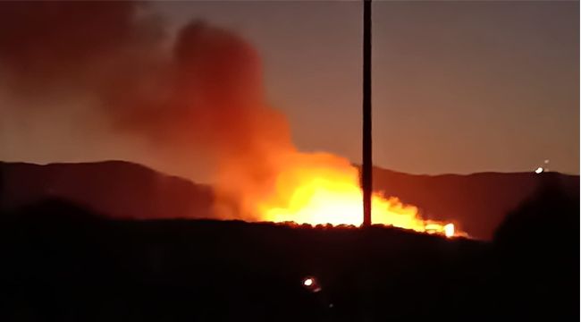 MENDERES'TEKİ ORMAN YANGINI KONTROL ALTINDA