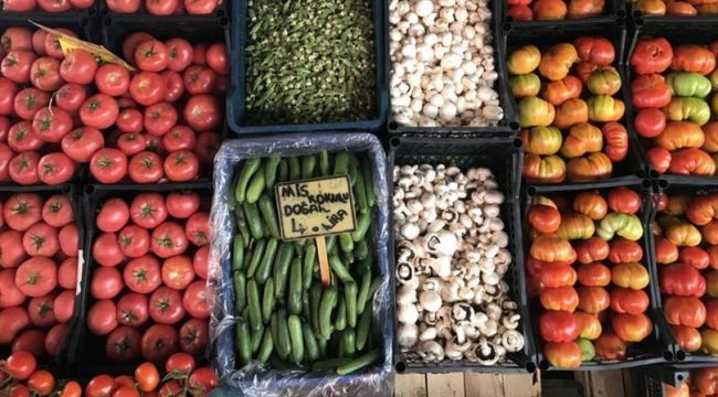 Mersin, Hatay ve Adana'nın yaş sebze meyve ihracatı arttı