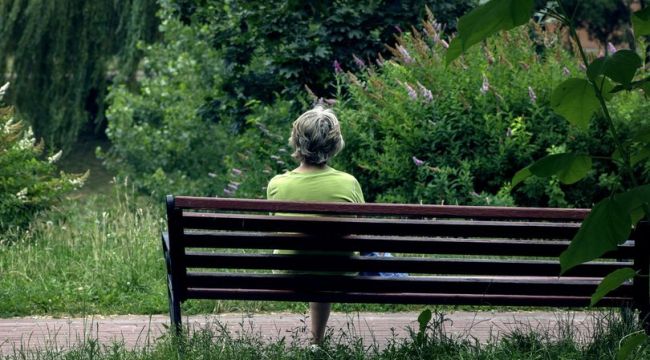 Park ve bahçelerde kenelere dikkat!