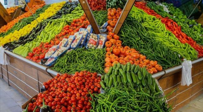 Rusya'ya yaş meyve sebze ihracatında artış