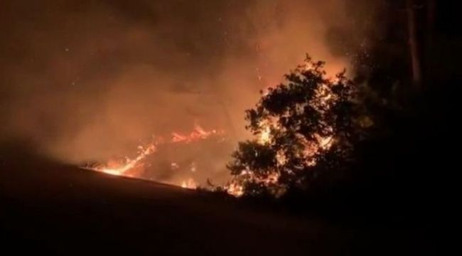Sarıyer'de orman yangını