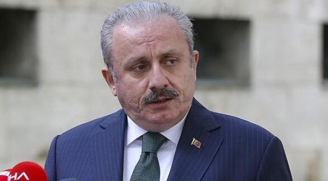 Şentop'un adaylık başvurusu TBMM'ye sunuldu