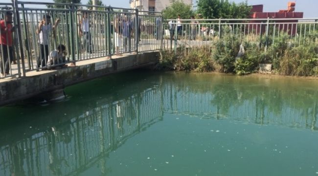Serinlemek için sulama kanalına giren genç kayboldu