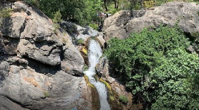Sıcaktan bunalanlar yasak dinlemiyor