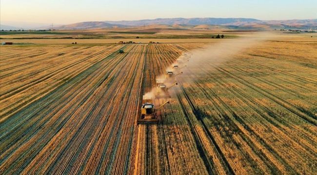 Tarımsal girdi fiyat endeksi mayısta arttı
