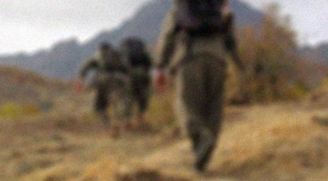 Terör örgütü PKK/KCK'nın "eylem" yalanı çürütüldü