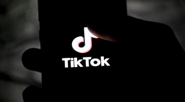 TikTok'a inceleme başlatıldı