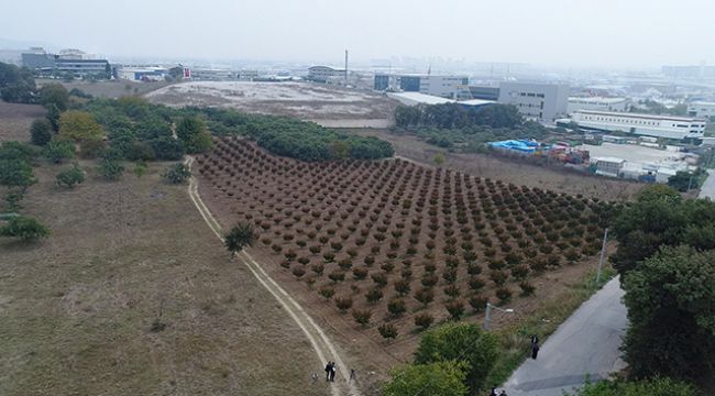 TOKİ'nin arsaları açık arttırma ile satışa çıkıyor