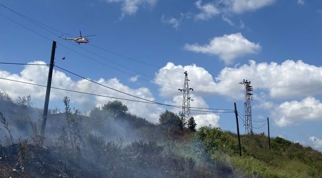 Tuzla'da ormanlık alanda korkutan yangın!