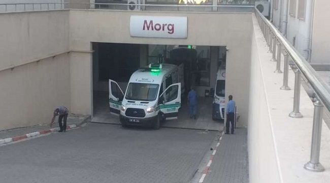 Üzerine ağaç devrilen şahıs hayatını kaybetti