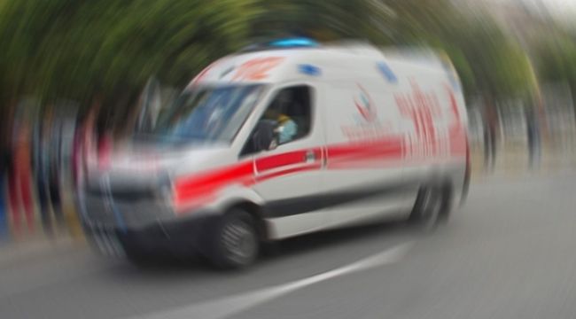 Üzerine ağaç düşen işçi hayatını kaybetti