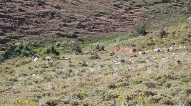 Van'da şehit olan 7 polisin isimleri açıklandı
