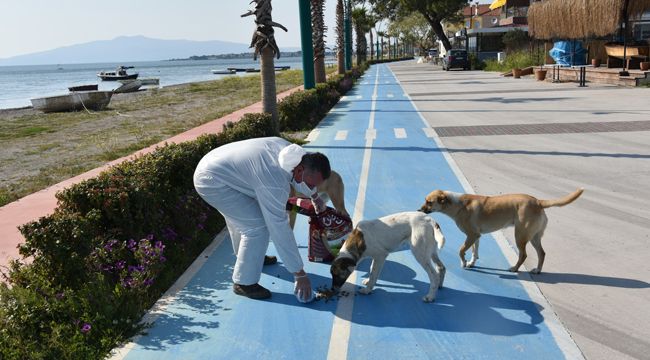 ALİAĞA SAĞLIKLI BİR BAYRAM İÇİN SEFERBER OLDU
