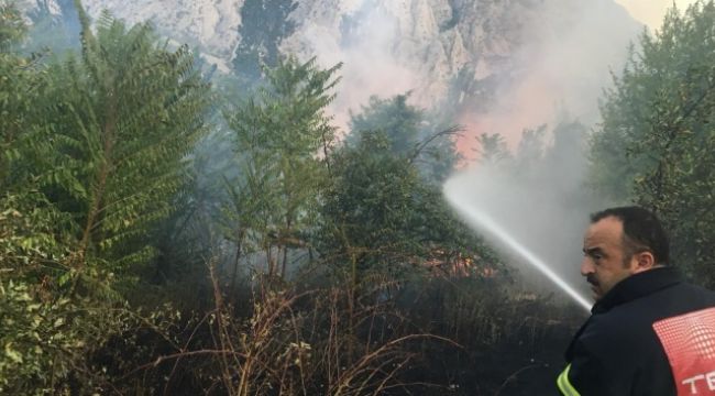 Amasya'da yangın !