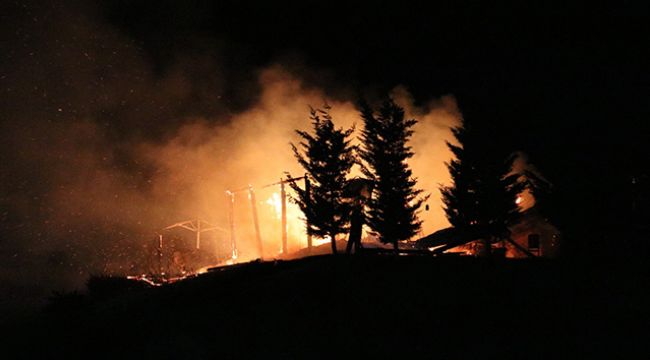 Ankara'da mesire alanında korkutan yangın