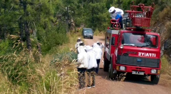 Arı kovanı yüklü kamyonet devrildi