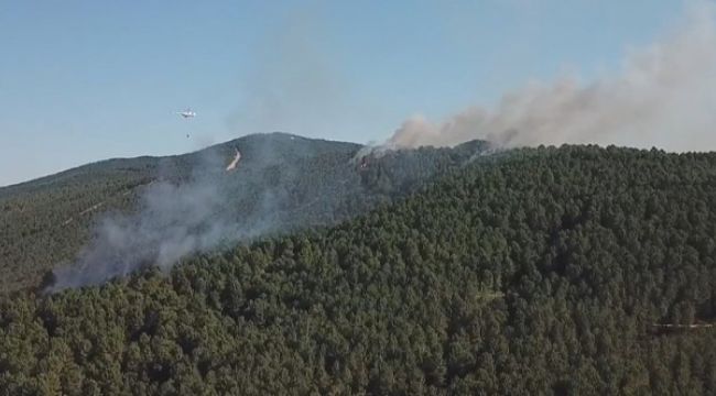 Aydos Ormanı'nda bir yangın daha!