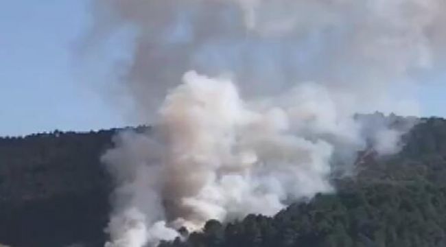 Aydos'ta ormanlık alanda yangın