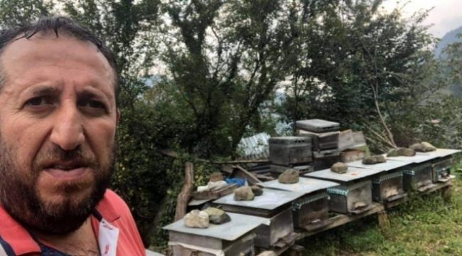 Bal üreticisi arı sokması sonucu hayatını kaybetti