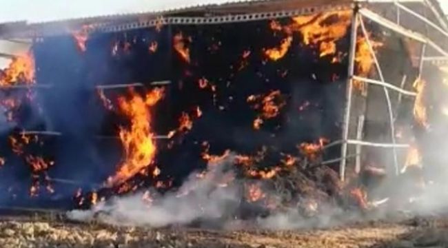 Binlerce balya saman cayır cayır yandı