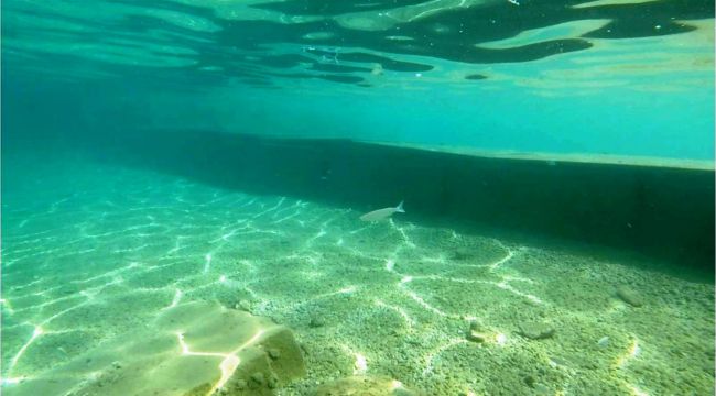 Bodrum'daki utanç duvarı ortaya çıktı