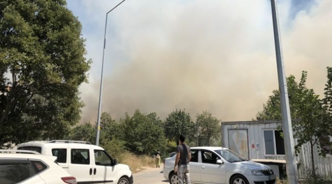 Bursa'daki Orman Yangınında Şüpheli İsim