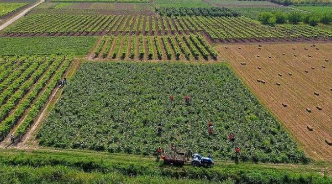 Çiftçi Kayıt Sistemi'ne başvuru süresi uzatıldı