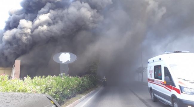 Elektrik kontağından çıkan yangın kafeyi kül etti