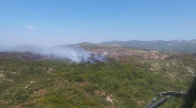 İZMİR'DE KORKUTAN ORMAN YANGINI