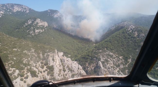 İZMİR'DE ORMAN YANGINI