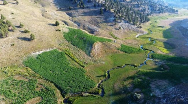 Karadeniz yaylaları değil Kahramanmaraş