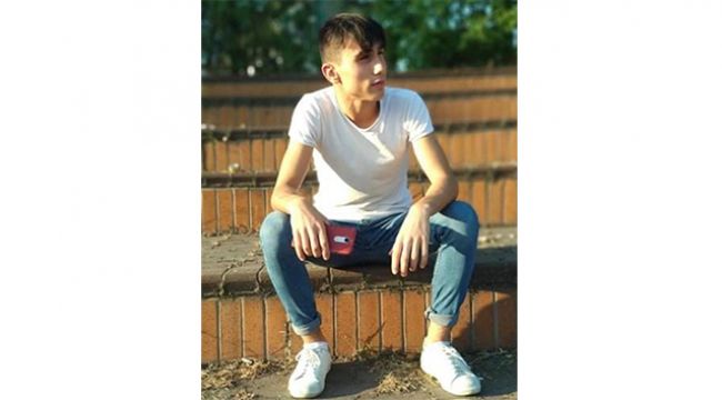 Kesilen ağacın altında kaldı