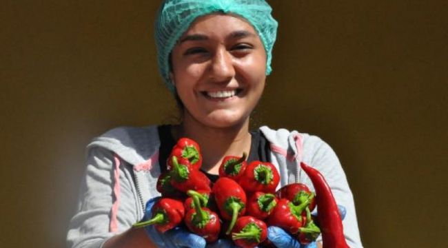 Koronavirüs salgını salça ihracatını patlattı