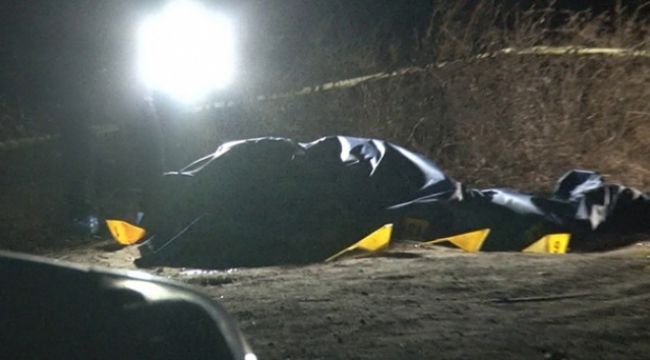 Kuzen Kavgası Kanlı Bitti