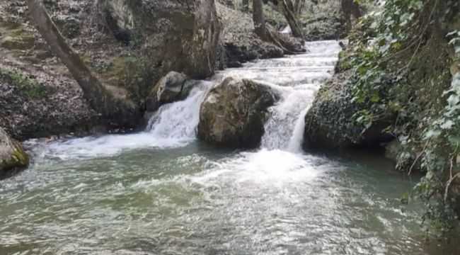 Maksem Deresi, tabiat parkı olarak tescil bekliyor