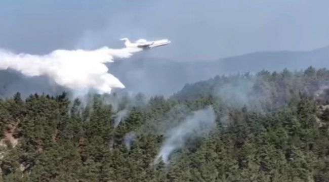 Orman yangınına havadan müdahale edildi
