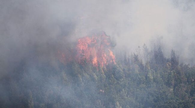 Orman yangınıyla ilgili 3 kişi gözaltına alındı