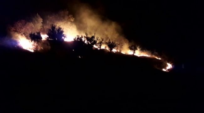Ormanlık alana yakın bölgede yükselen alevler korkuttu