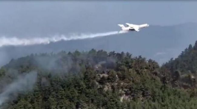 Sinop’taki orman yangını kontrol altında