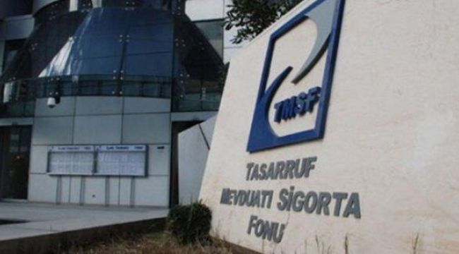 TMSF plastik ve halı şirketlerini satışa çıkardı