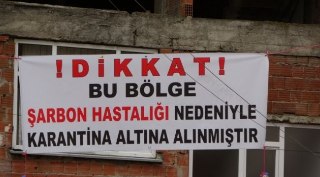 Trabzon'da şarbon karantinası