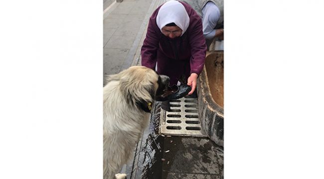 Yaşlı kadının yaptığı hareket gönülleri fethetti