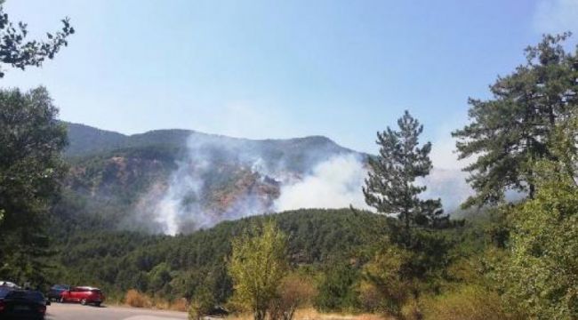 Ankara’da bir yangın daha!