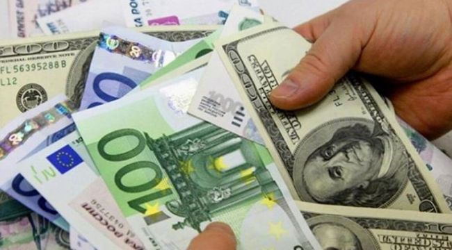 Avro ve dolar rekor tazeledi