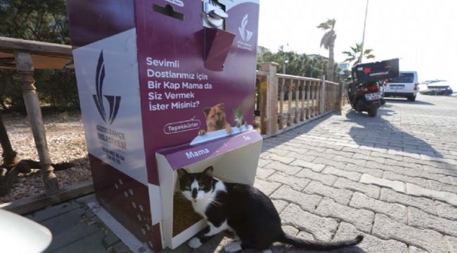 CAN DOSTLARIN ARTIK MAMAMATİĞİ VAR