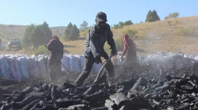 Covid-19 mangal kömürü üreticilerini vurdu