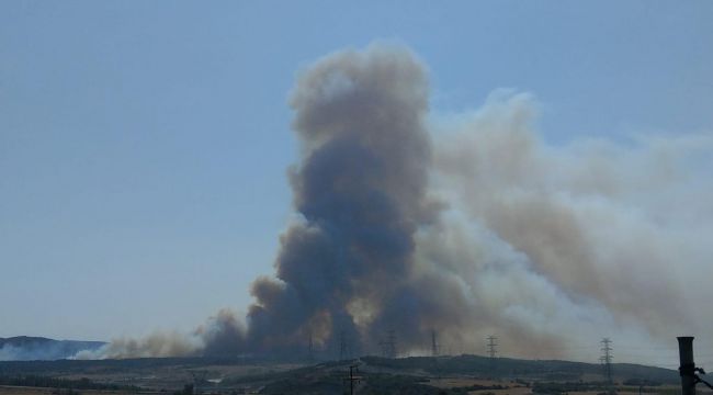 Gelibolu'da orman yangını
